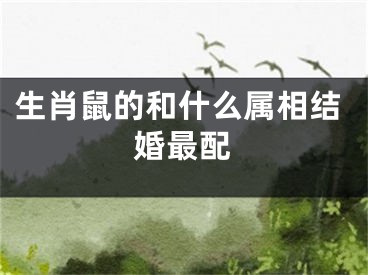 生肖鼠的和什么属相结婚最配
