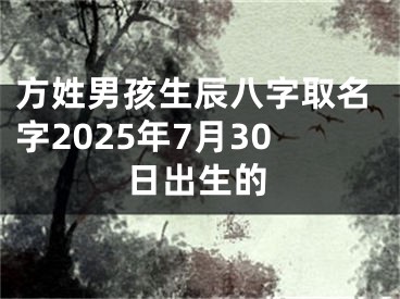 方姓男孩生辰八字取名字2025年7月30日出生的
