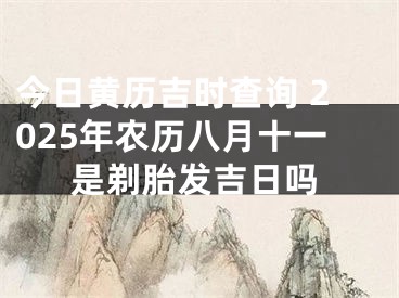 今日黄历吉时查询 2025年农历八月十一是剃胎发吉日吗