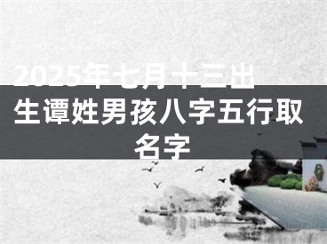 2025年七月十三出生谭姓男孩八字五行取名字