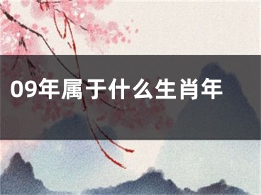 09年属于什么生肖年