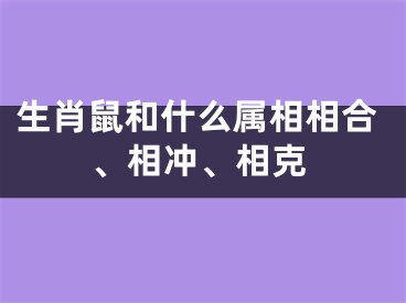 生肖鼠和什么属相相合、相冲、相克