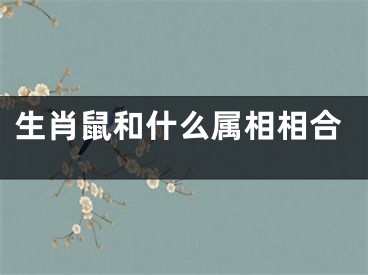生肖鼠和什么属相相合
