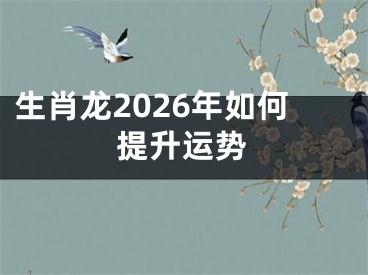 生肖龙2026年如何提升运势