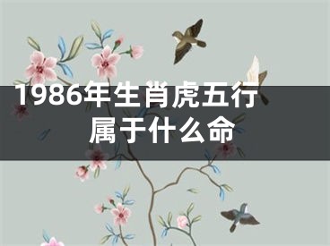 1986年生肖虎五行属于什么命