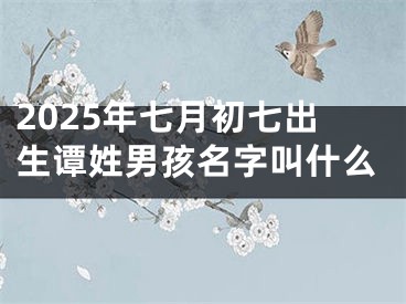 2025年七月初七出生谭姓男孩名字叫什么