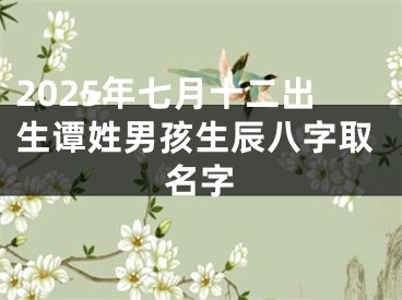 2025年七月十二出生谭姓男孩生辰八字取名字