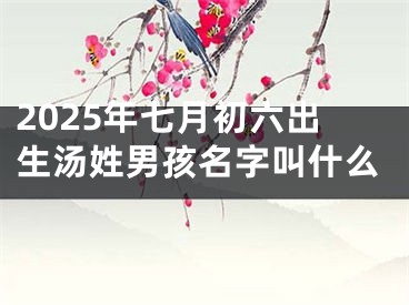 2025年七月初六出生汤姓男孩名字叫什么