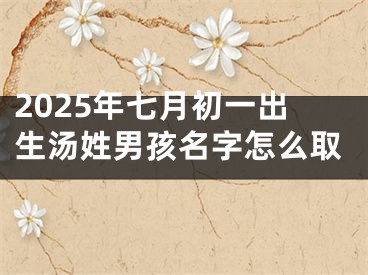2025年七月初一出生汤姓男孩名字怎么取