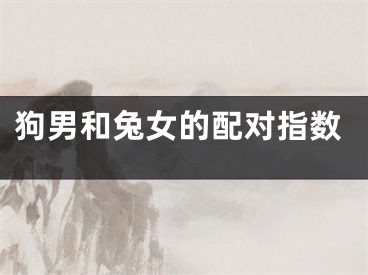 狗男和兔女的配对指数