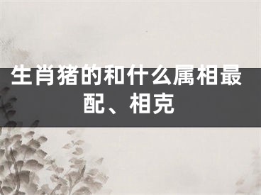 生肖猪的和什么属相最配、相克