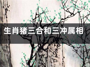 生肖猪三合和三冲属相