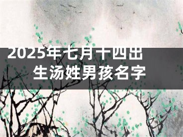 2025年七月十四出生汤姓男孩名字