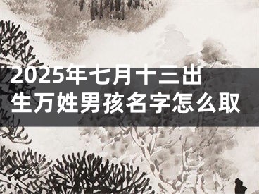 2025年七月十三出生万姓男孩名字怎么取