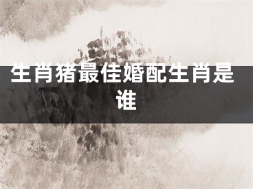 生肖猪最佳婚配生肖是谁