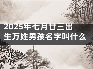 2025年七月廿三出生万姓男孩名字叫什么