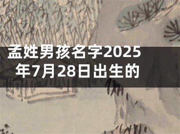 孟姓男孩名字2025年7月28日出生的