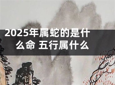 2025年属蛇的是什么命 五行属什么