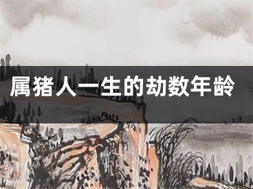 属猪人一生的劫数年龄