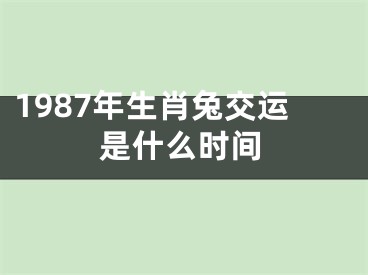 1987年生肖兔交运是什么时间
