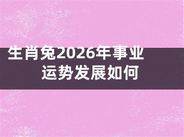 生肖兔2026年事业运势发展如何