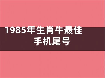 1985年生肖牛最佳手机尾号