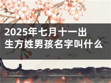 2025年七月十一出生方姓男孩名字叫什么