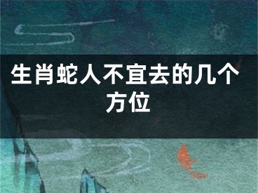 生肖蛇人不宜去的几个方位