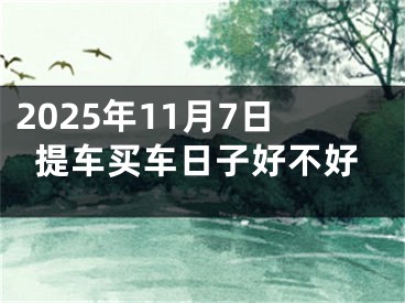 2025年11月7日提车买车日子好不好