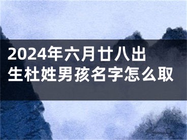 2024年六月廿八出生杜姓男孩名字怎么取