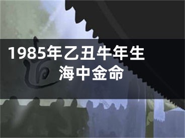 1985年乙丑牛年生海中金命