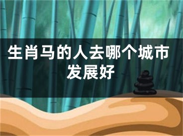 生肖马的人去哪个城市发展好