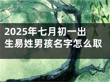 2025年七月初一出生易姓男孩名字怎么取