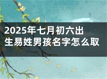 2025年七月初六出生易姓男孩名字怎么取