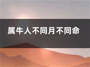 属牛人不同月不同命
