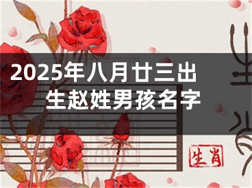 2025年八月廿三出生赵姓男孩名字