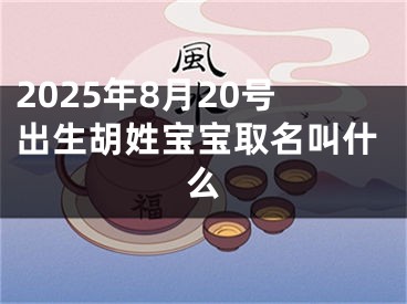 2025年8月20号出生胡姓宝宝取名叫什么