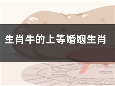 生肖牛的上等婚姻生肖