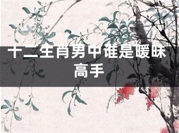 十二生肖男中谁是暖昧高手