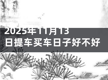 2025年11月13日提车买车日子好不好