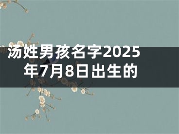 汤姓男孩名字2025年7月8日出生的