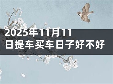 2025年11月11日提车买车日子好不好