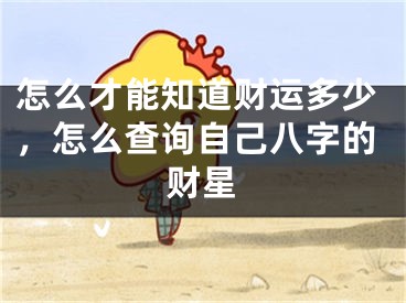 怎么才能知道财运多少，怎么查询自己八字的财星