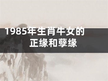1985年生肖牛女的正缘和孽缘