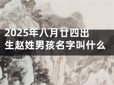 2025年八月廿四出生赵姓男孩名字叫什么