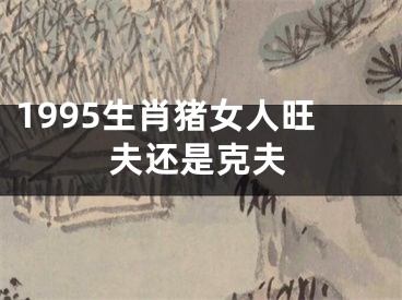 1995生肖猪女人旺夫还是克夫