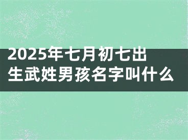 2025年七月初七出生武姓男孩名字叫什么