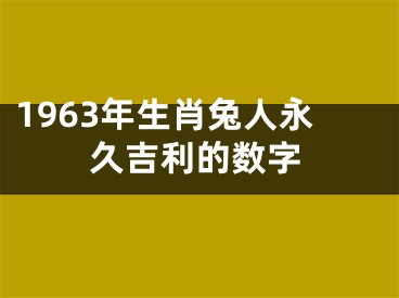 1963年生肖兔人永久吉利的数字