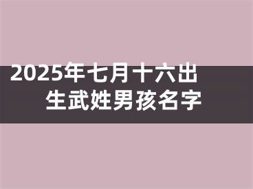 2025年七月十六出生武姓男孩名字
