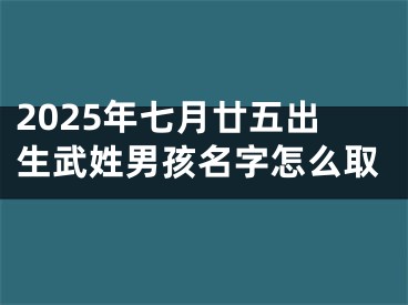 2025年七月廿五出生武姓男孩名字怎么取